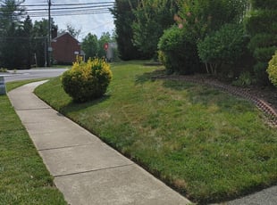 LaTosha G.'s Lawn Care service result