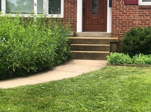 ADLAI C.'s Lawn Service service result