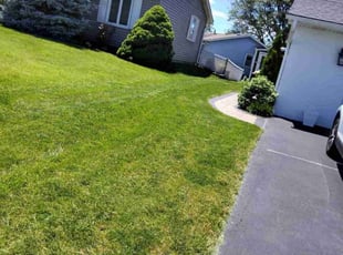 Lucy B.'s Lawn Service service result