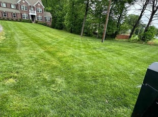 Lori F.'s Lawn Care service result