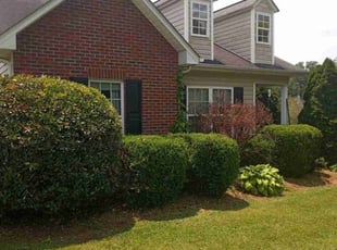 Bradley C.'s Lawn Mowing service result