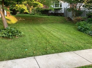 Gladys P.'s Lawn Care service result