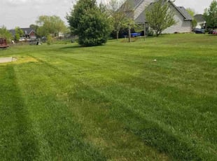 Vincent W.'s Lawn Care service result