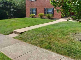 "Larry W.'s Lawn Mowing Service service result