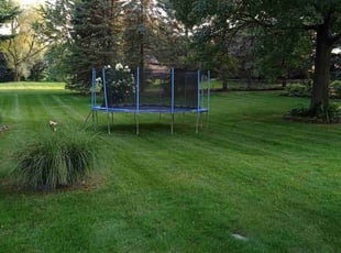 Marie A.'s Lawn Mowing Service service result