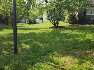 Hyder Q.'s Yard Cutting service result