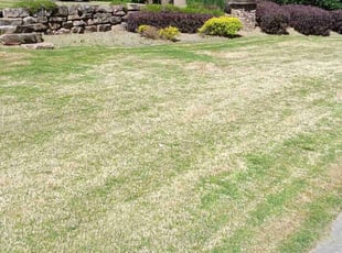 Mary K.'s Lawn Mowing service result
