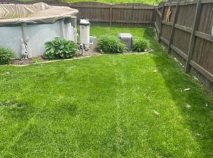 Larry P.'s Lawn Mowing Service service result