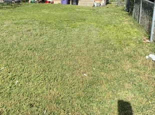 Barbara A.'s Lawn Care service result