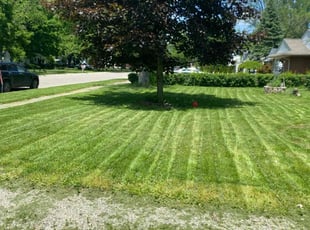 ShantΓ© M.'s Grass Cutting service result