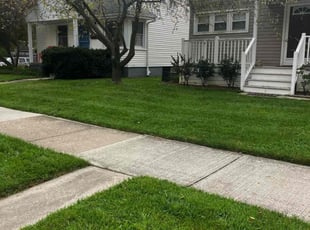 Ramona T.'s Lawn Mowing Service service result