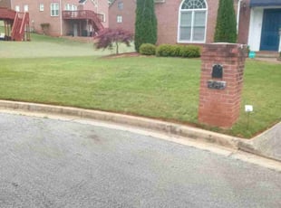 Hisham S.'s Grass Cutting service result
