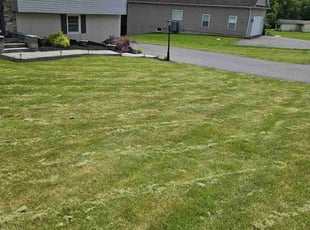 DEREK A.'s Lawn Service service result