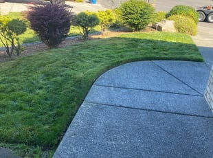 Mary S.'s Lawn Care service result