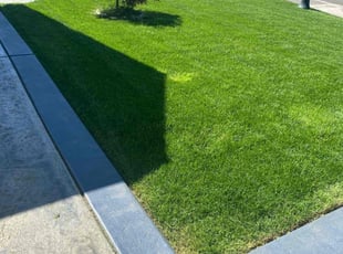 Rebecca R.'s Lawn Care service result