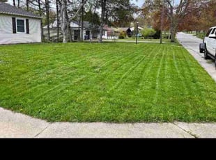 Lea D.'s Lawn Service service result