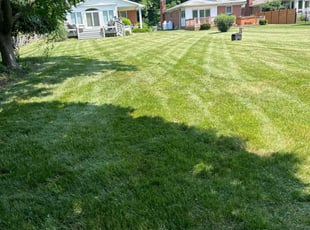 Suzanne Z.'s Lawn Care service result