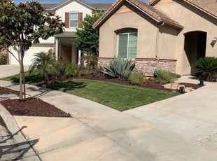 Deshia B.'s Lawn Mowing service result