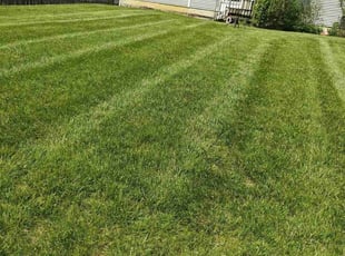 Marc S.'s Lawn Mowing service result