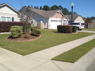 Portia D.'s Lawn Mowing service result