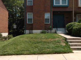 Franz V.'s Grass Cutting service result