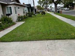 Joseph A.'s Lawn Mowing service result