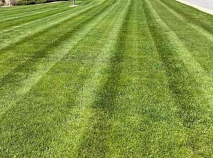 Robert H.'s Yard Cutting service result