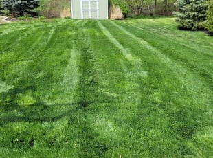 Emanuel J.'s Lawn Mowing Service service result