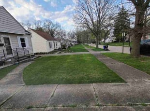 Reji S.'s Lawn Maintenance service result