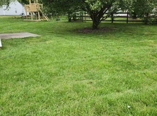 Robert S.'s Lawn Mowing Service service result