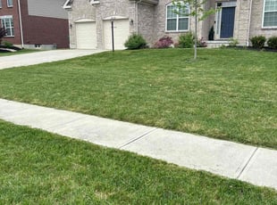 Braxton E.'s Lawn Service service result