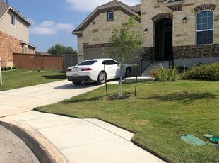 Ruben G.'s Lawn Mowing service result