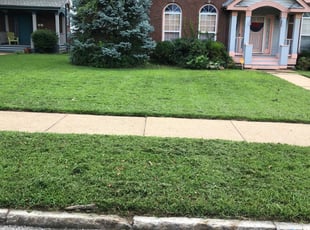 Dana C.'s Lawn Care service result