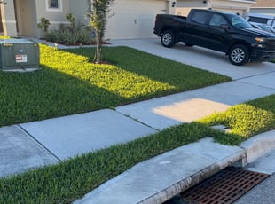 Paul P.'s Lawn Mowing Service service result