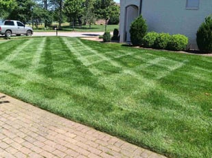 Cullen T.'s Lawn Mowing Service service result