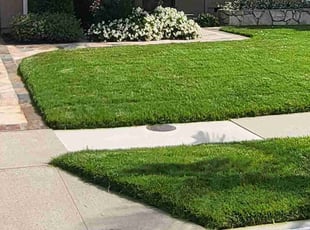 Tracey M.'s Lawn Mowing service result