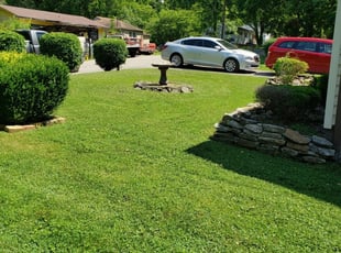 Lee T.'s Lawn Care service result