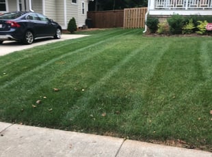 Tommy C.'s Yard Cutting service result
