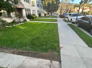 Moises V.'s Lawn Care service result