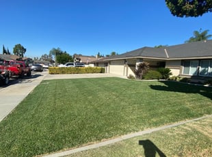 Chuncy F.'s Lawn Mowing service result