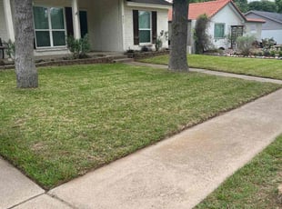 Karla I.'s Yard Cutting service result
