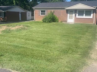 Vanessa L.'s Grass Cutting service result