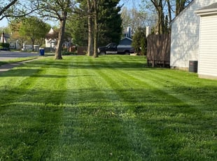 Pedro V.'s Lawn Service service result