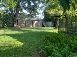 Jeffrey H.'s Yard Cutting service result