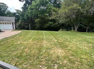 Daniel L.'s Lawn Service service result