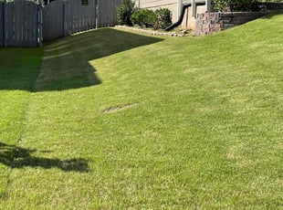 Gary J.'s Lawn Mowing service result
