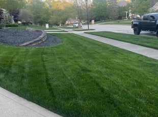 David A.'s Grass Cutting service result
