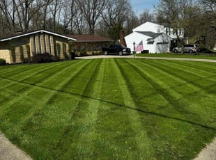 Dwayne A.'s Lawn Care service result