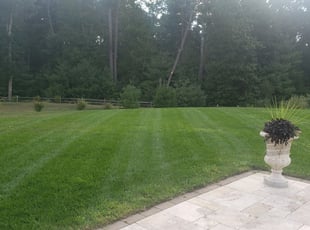 Tracie B.'s Lawn Service service result
