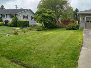 Robert Y.'s Lawn Care service result